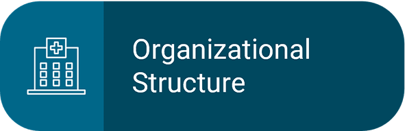 Hospital organizational structure graphic