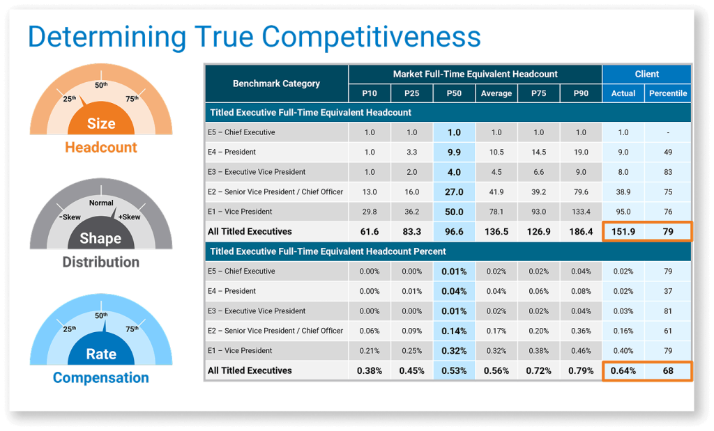 Executive headcount and compensation analysis
