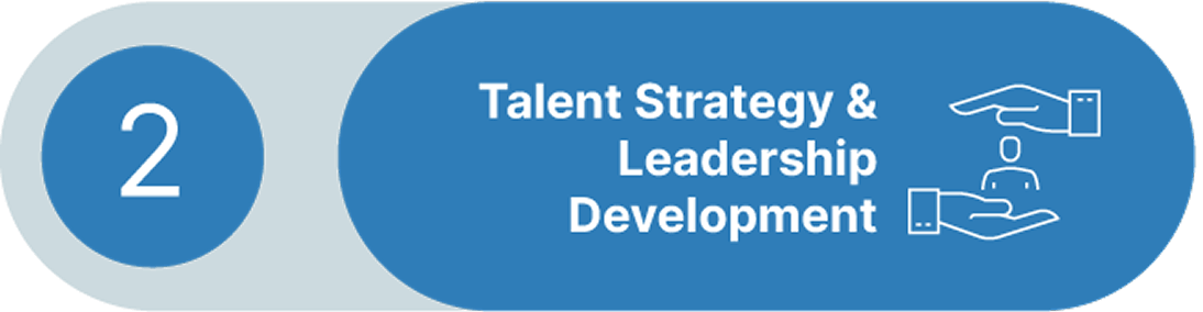 Talent strategy and leadership development