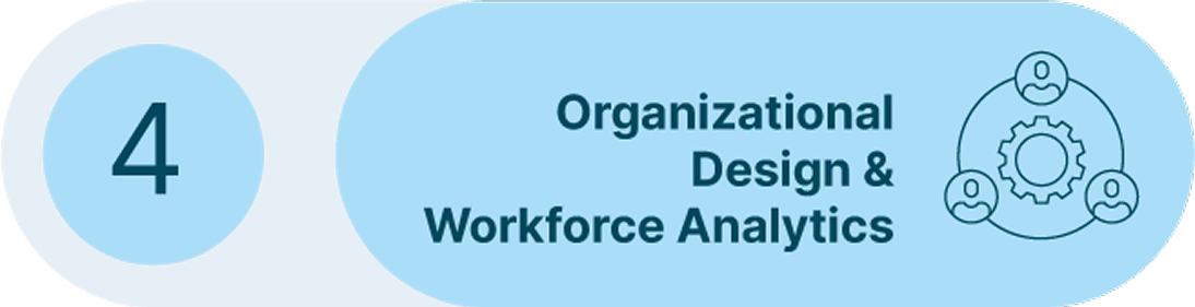 Organizational design and workforce analytics