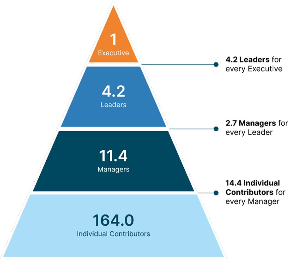 Pyramid structure of organizational roles