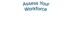 Assess Your Workforce
