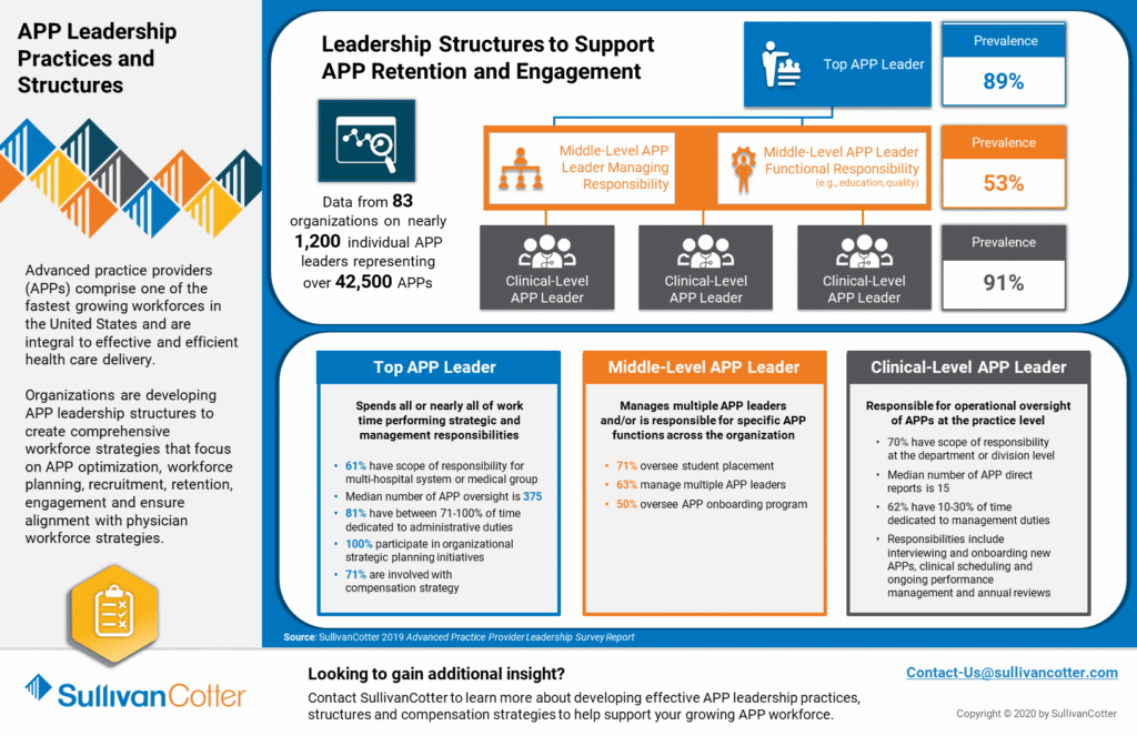 Infographic APP Leadership Practices and Structures Survey