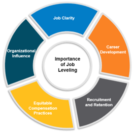 job leveling graphic